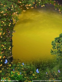 唯美花藤高清风景