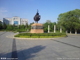 太阳鸟