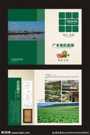 宣传单页