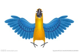 卡通金刚鹦鹉矢量素材