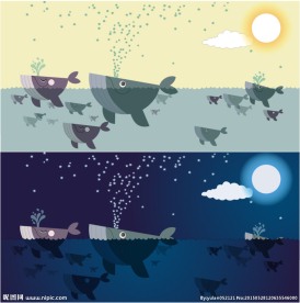 鲸鱼的昼与夜插画矢量素材
