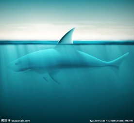 海洋鲨鱼设计矢量素材