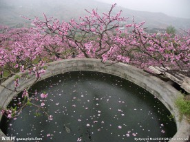 桃花潭水