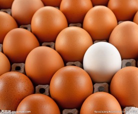 鸡蛋