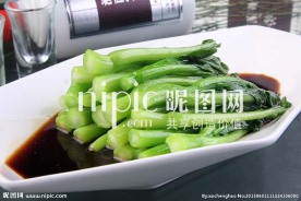 广东菜心