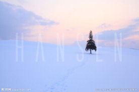 雪景-孤独的树