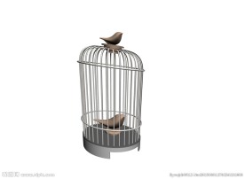 鸟笼模型