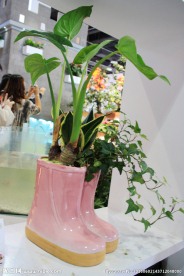 雨鞋盆栽