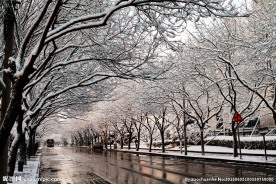 京城雪景