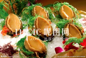 冰镇大连鲍