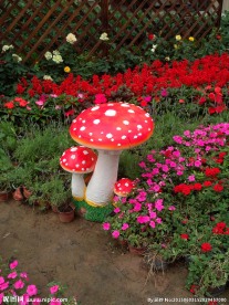 篱笆墙小花园