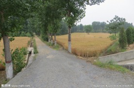 登封乡村景色