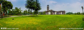 东软学院