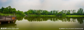 东软学院