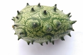 火参果