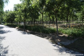 小路