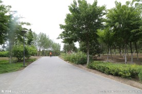 小路