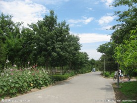 小路