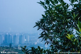自然风景 自然风景图片