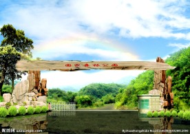 树木桥美丽风光