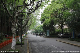 复旦大学