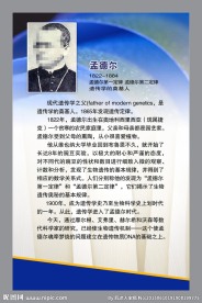 名人名言孟德尔