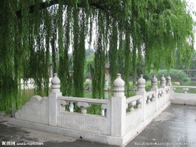 园林景观