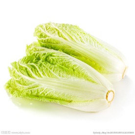 娃娃菜