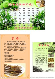 药材海报