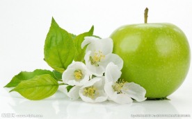 苹果花