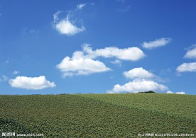 田园景色