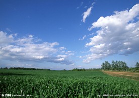 田园景色