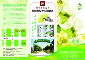 葡萄庄园三折页