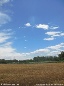 高清麦田