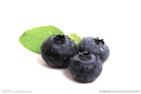 水果蓝莓