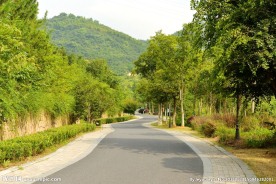 山间小道