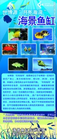 珊珍海味海景鱼缸海报