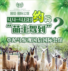 约吗 萌主驾到 微信海报