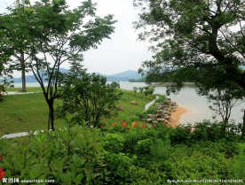 四明湖湖景