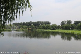 湖水