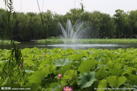 湖水