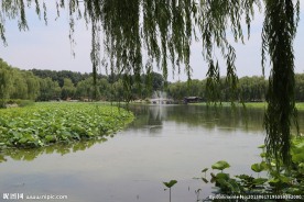湖水