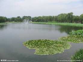 湖水