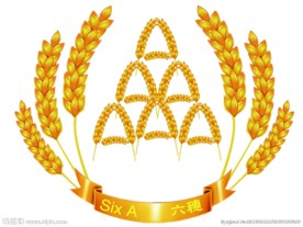 麦穗标准