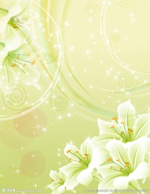 矢量浪漫梦幻黄色百合花