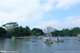 深圳荔枝公园