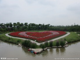 周浦花海     旅游景点