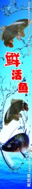 活鱼