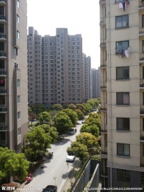 小区风景