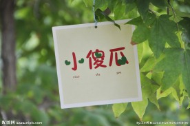 校园毕业留念树-小傻瓜